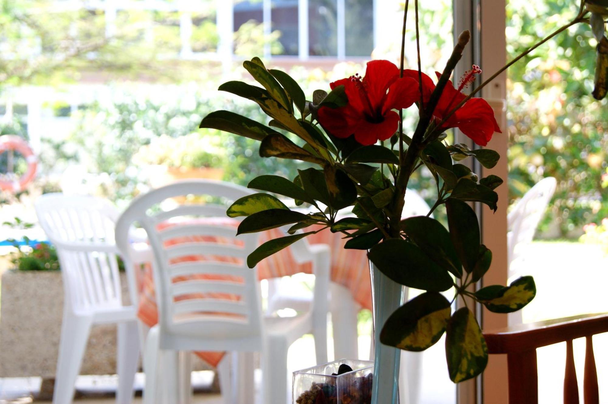 Apartamentos Ecuador 플라야 델 잉글스 외부 사진